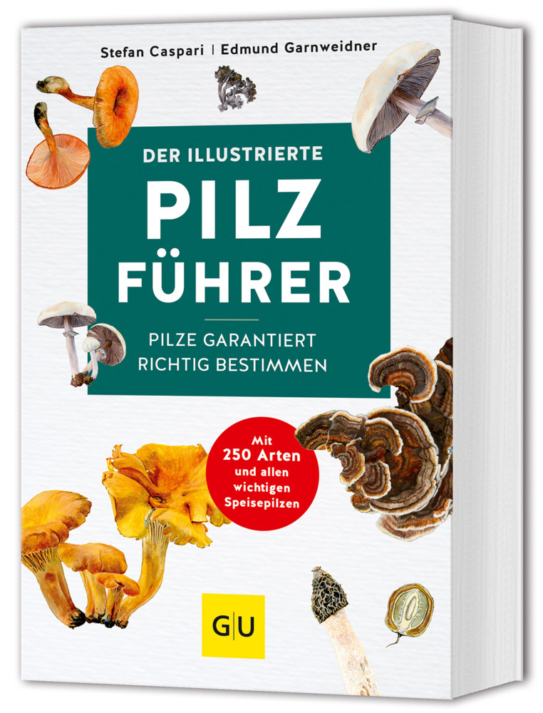 Der illustrierte Pilzführer main product photo