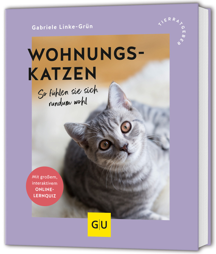 Wohnungskatzen main product photo