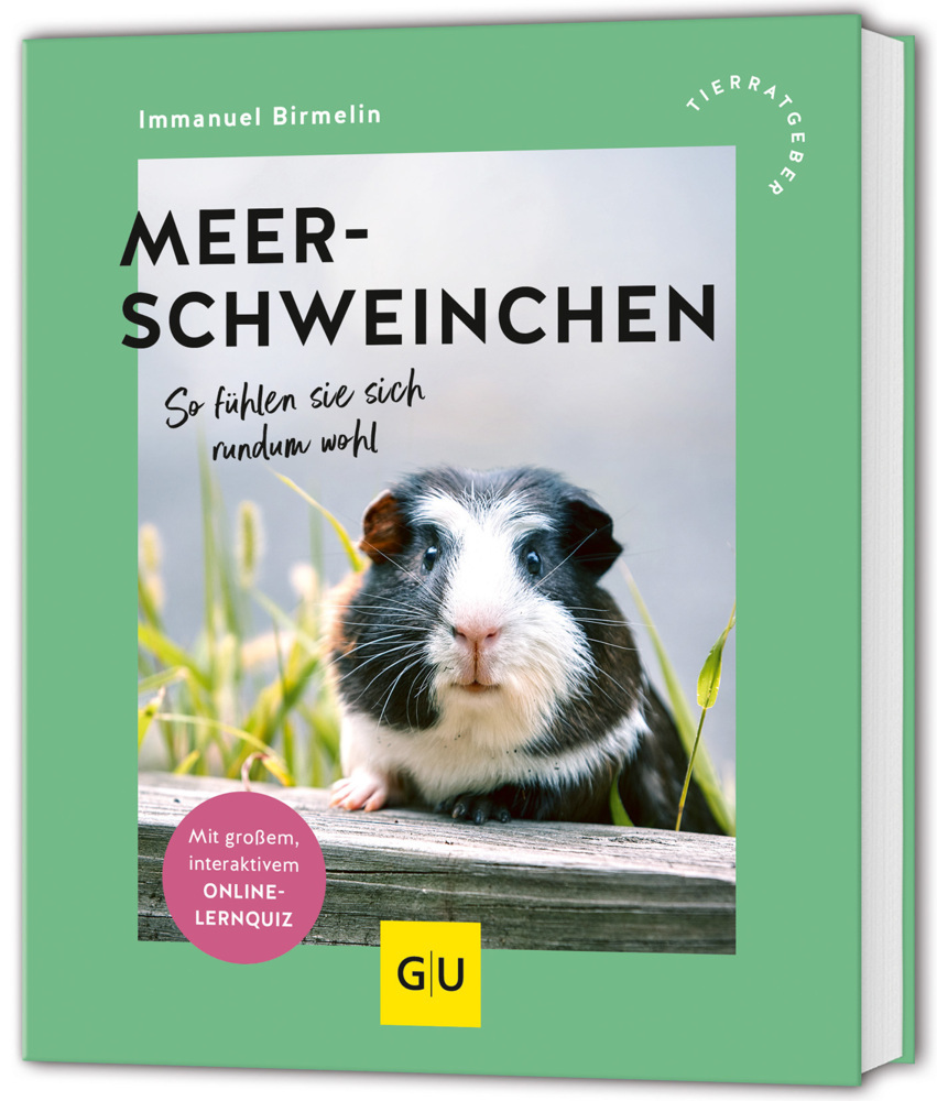 Meerschweinchen main product photo