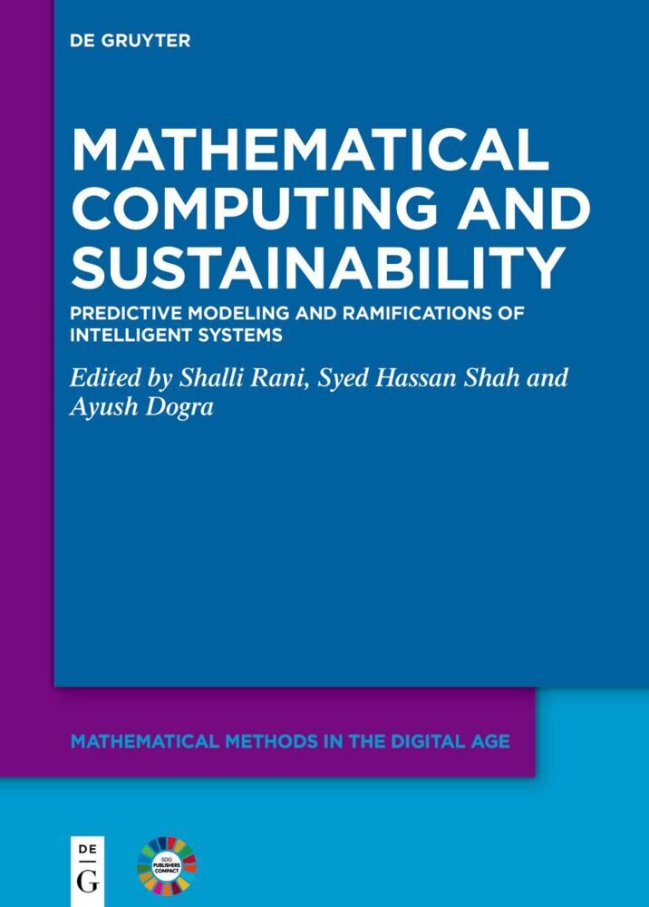 Mathematical Computing and Sustainability main product photo