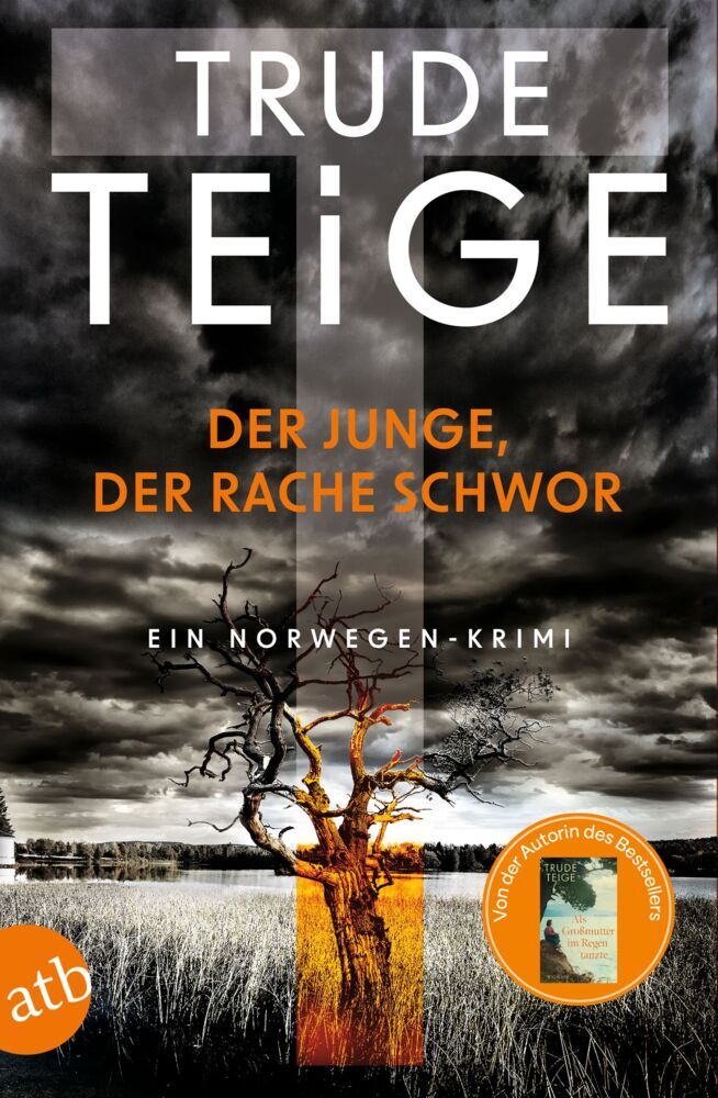 Der Junge, der Rache schwor main product photo