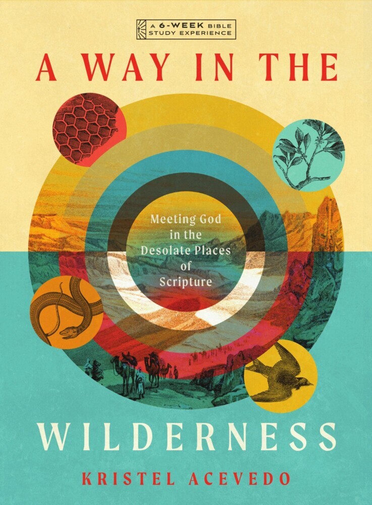 A Way in the Wilderness main product photo