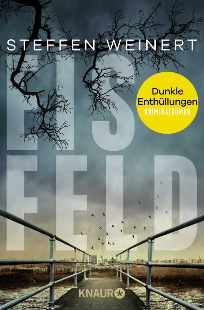 Eisfeld - Dunkle Enthüllungen main product photo