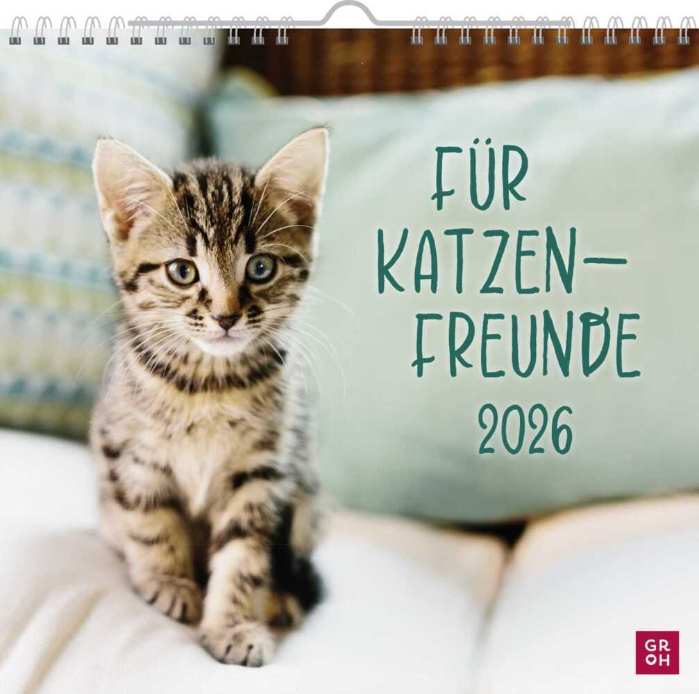Wandkalender 2026: Für Katzenfreunde main product photo