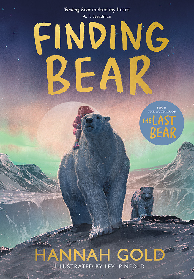 Finding Bear main product photo
