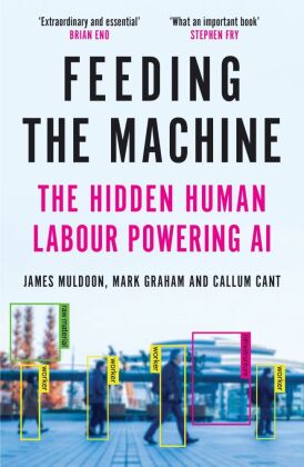Feeding the Machine : The Hidden Human Labour Powering AI