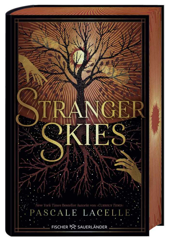 Stranger Skies main product photo
