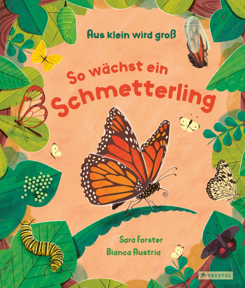 Aus klein wird groß. So wächst ein Schmetterling main product photo