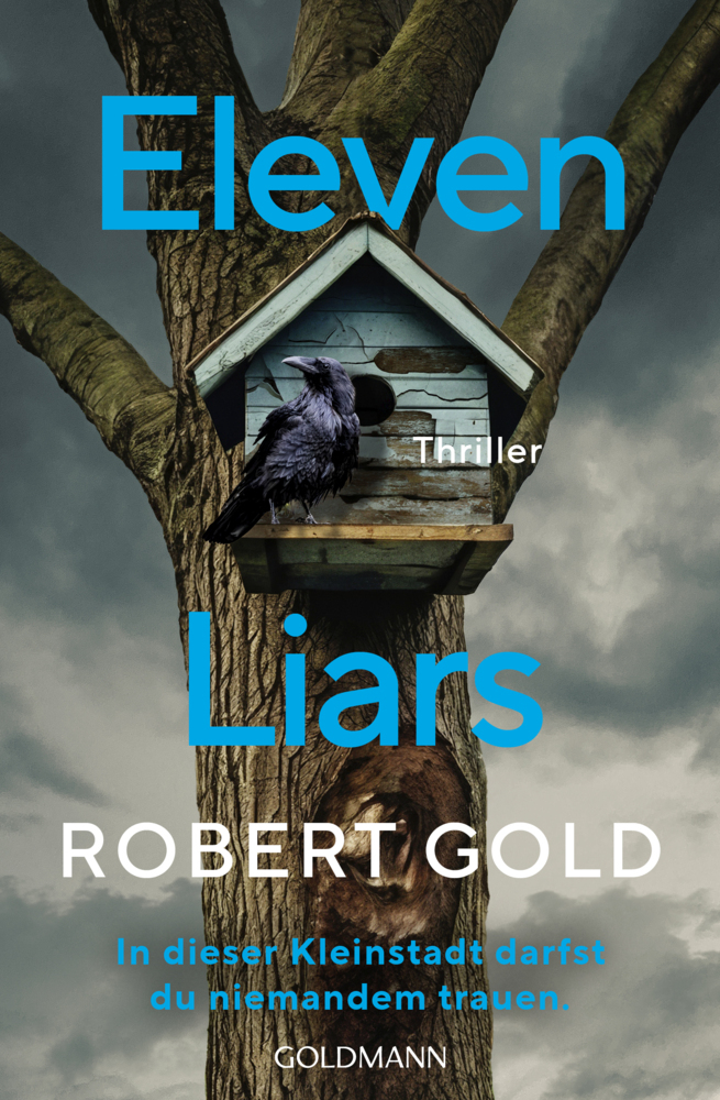 Eleven Liars main product photo