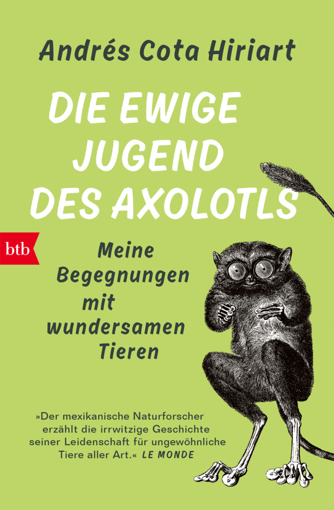 Die ewige Jugend des Axolotls main product photo
