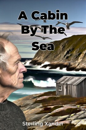 A Cabin By The Sea