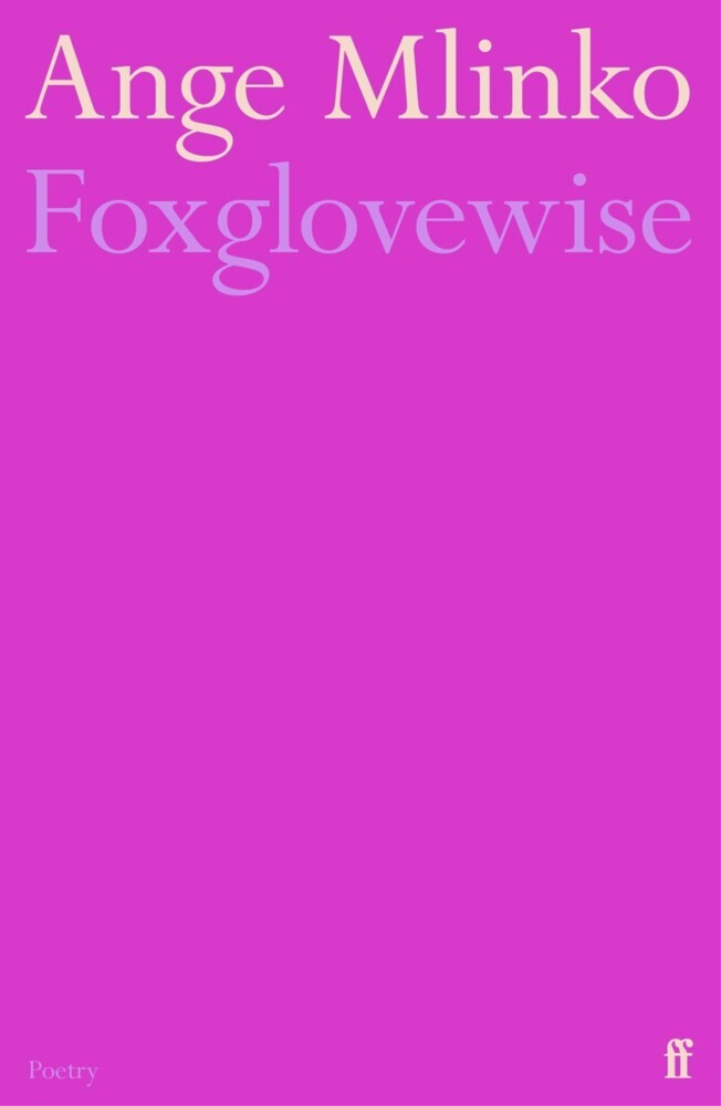 Foxglovewise main product photo