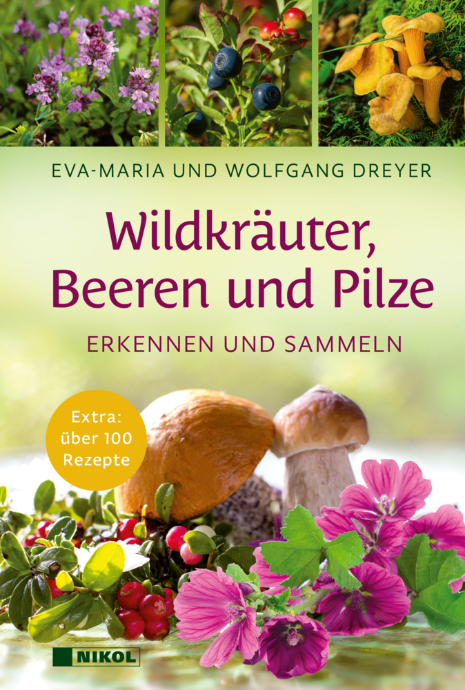 Wildkräuter, Beeren und Pilze main product photo