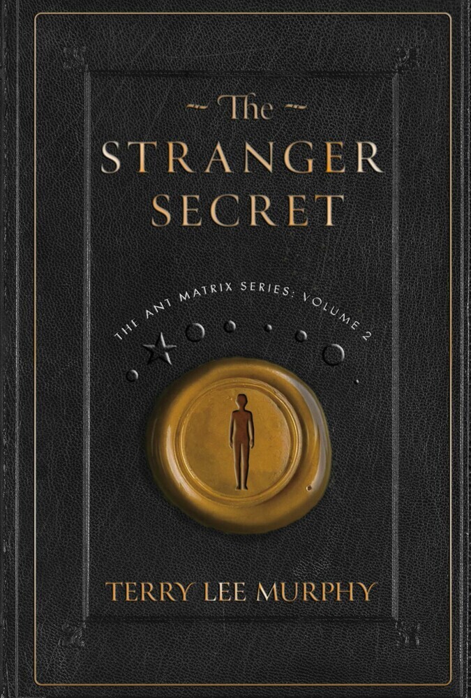 The Stranger Secret main product photo