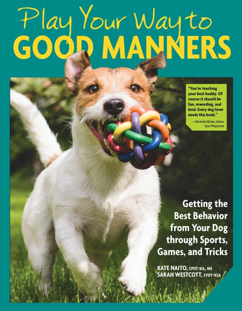 Play Your Way to Good Manners main product photo