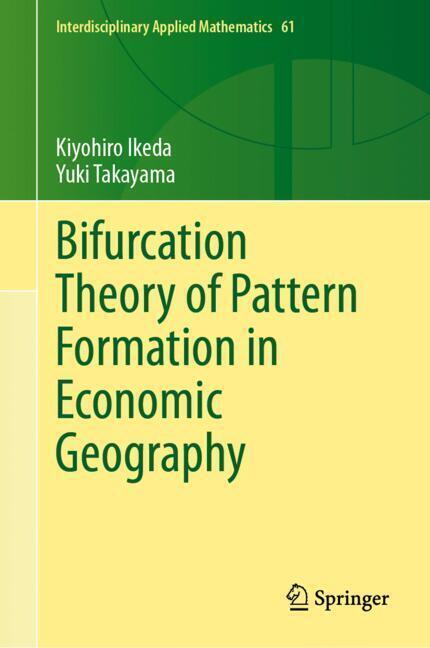 Bifurcation Theory of Pattern Formation in Economic Geography main product photo