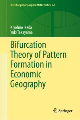 Bifurcation Theory of Pattern Formation  in Economic Geography