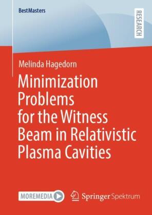 Minimization Problems for the Witness Beam in Relativistic Plasma Cavities