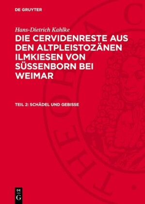 Schädel und Gebisse