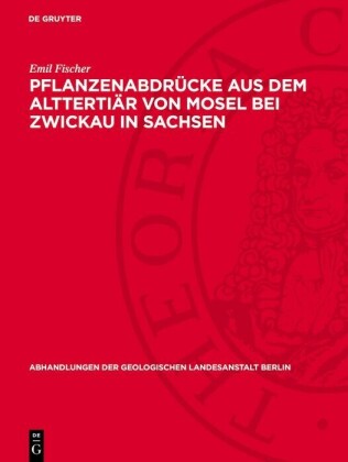 Pflanzenabdrücke aus dem Alttertiär von Mosel bei Zwickau in Sachsen