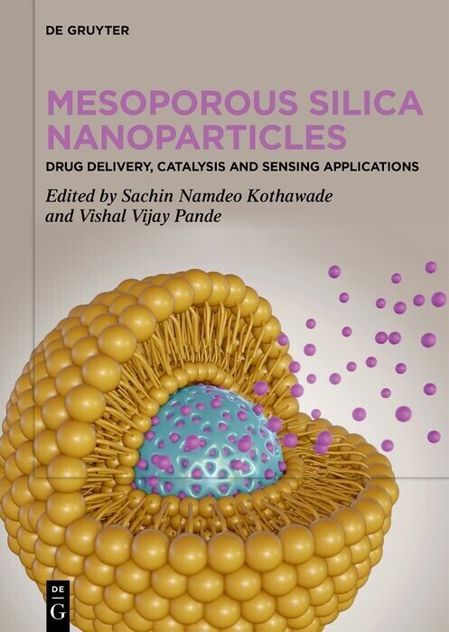 Mesoporous Silica Nanoparticles main product photo