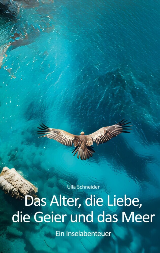 Das Alter, die Liebe, die Geier und das Meer main product photo