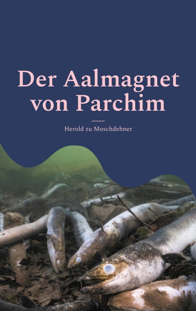 Der Aalmagnet von Parchim main product photo