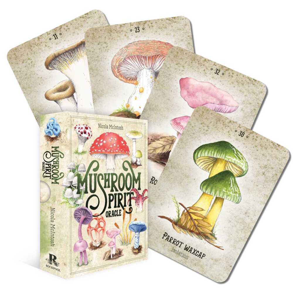 Mushroom Spirit Oracle main product photo