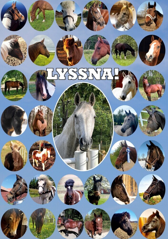 Lyssna! main product photo