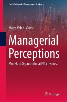 Managerial Perceptions