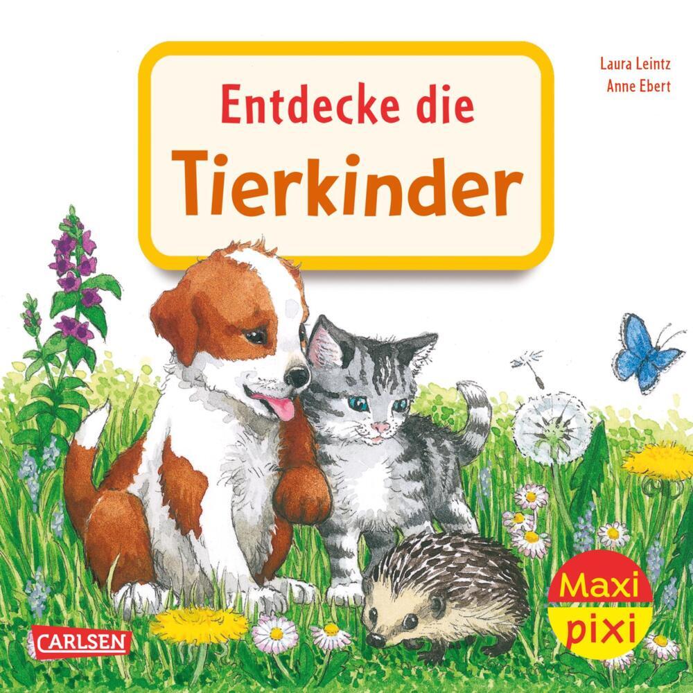Maxi Pixi 463: Entdecke die Tierkinder main product photo