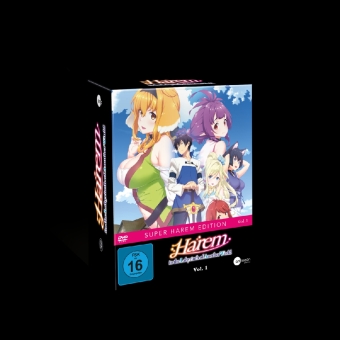 Harem in the Labyrinth of Another World. Vol.1, 1 DVD