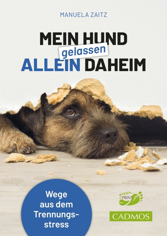 Mein Hund gelassen allein daheim main product photo