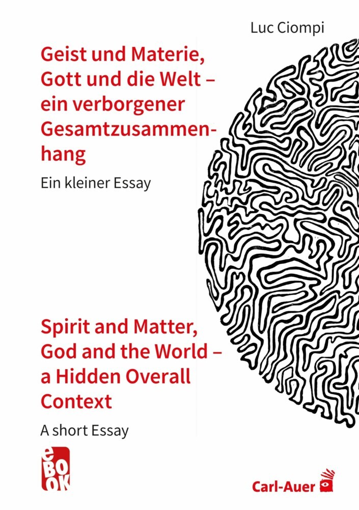 Geist und Materie, Gott und die Welt - ein verborgener Gesamtzusammenhang / Spirit and Matter, God and the World - a Hidden Overall Context main product photo