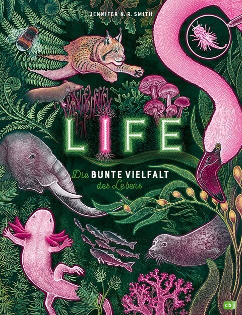 LIFE - Die bunte Vielfalt des Lebens main product photo