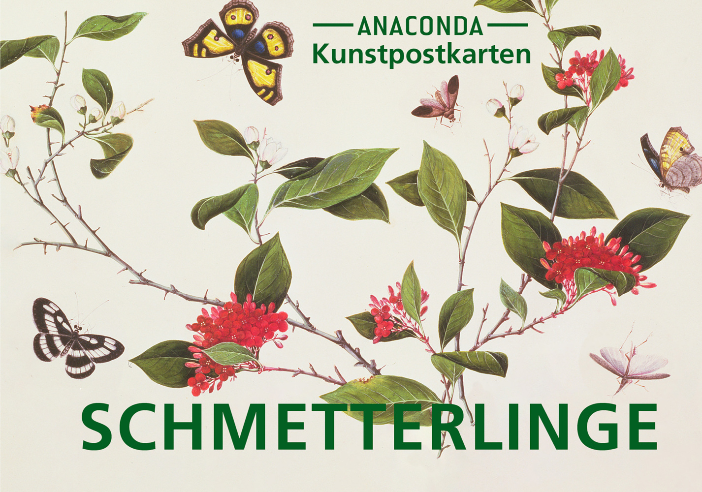Postkarten-Set Schmetterlinge main product photo
