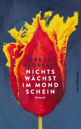Nichts wächst im Mondschein