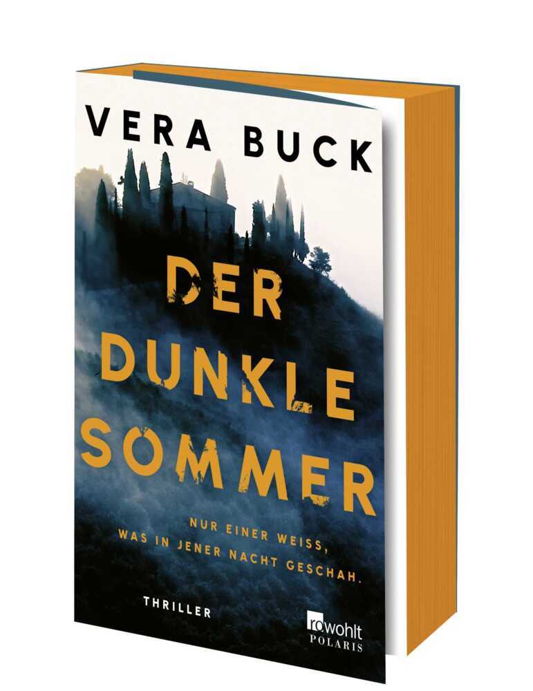 Der dunkle Sommer main product photo