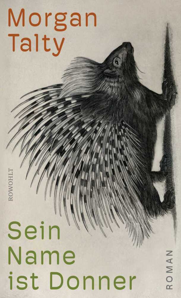 Sein Name ist Donner main product photo