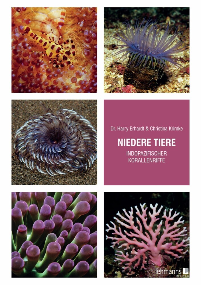 Niedere Tiere indopazifischer Korallenriffe main product photo
