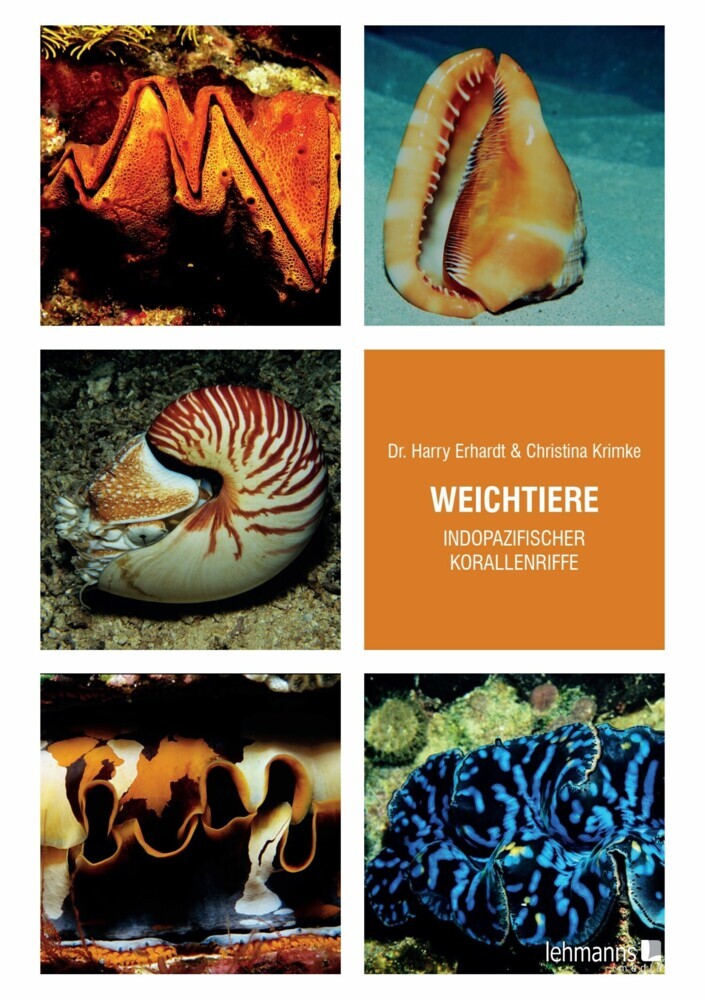 Weichtiere indopazifischer Korallenriffe main product photo