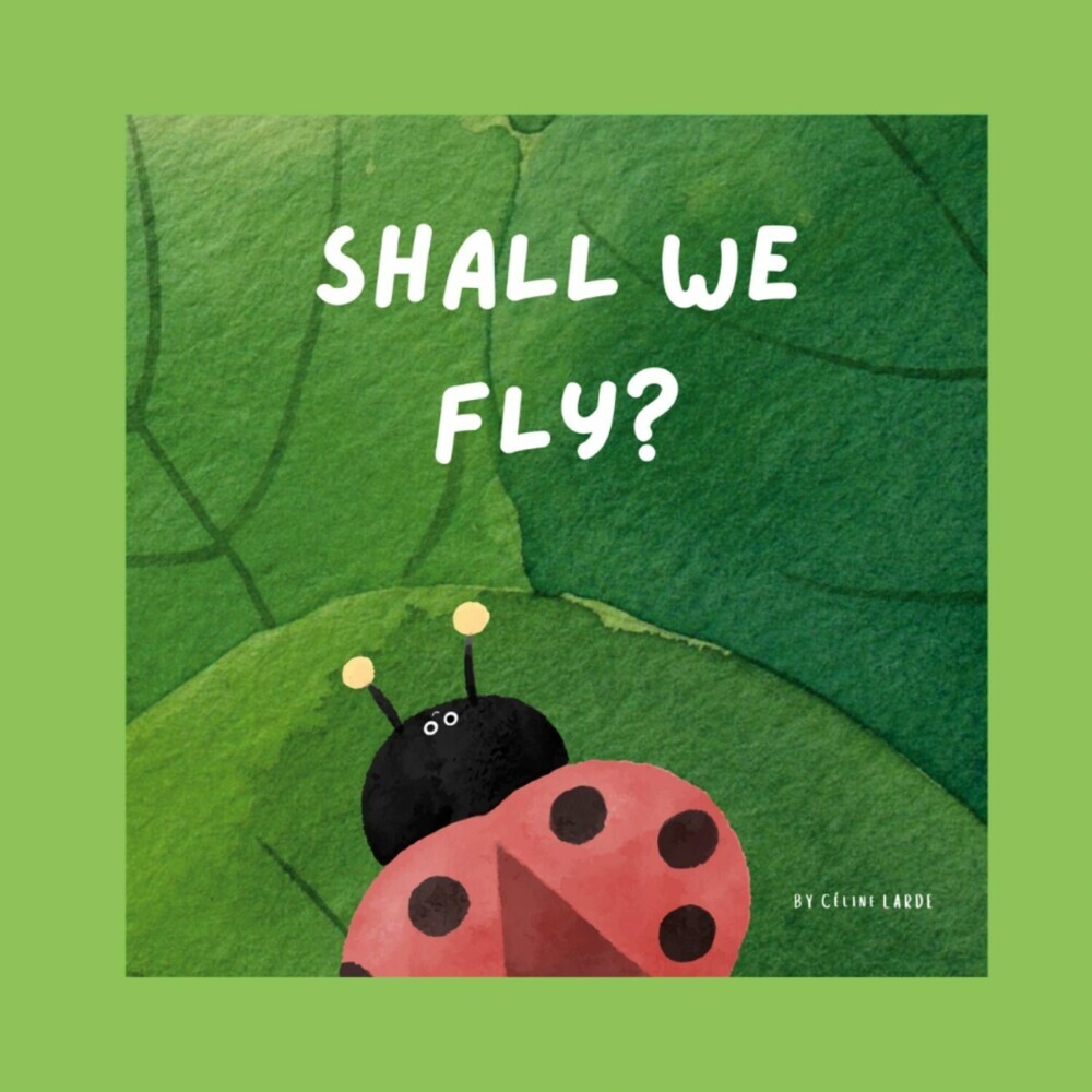 Shall We Fly? main product photo