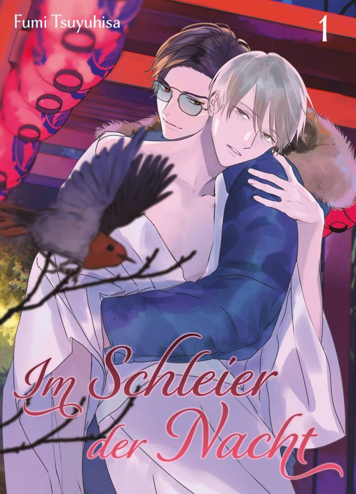 Im Schleier der Nacht 01 main product photo