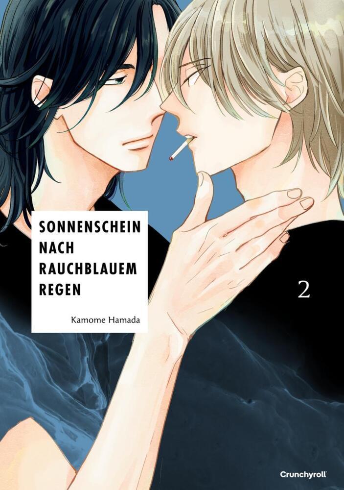 Sonnenschein nach rauchblauem Regen - Band 2 main product photo