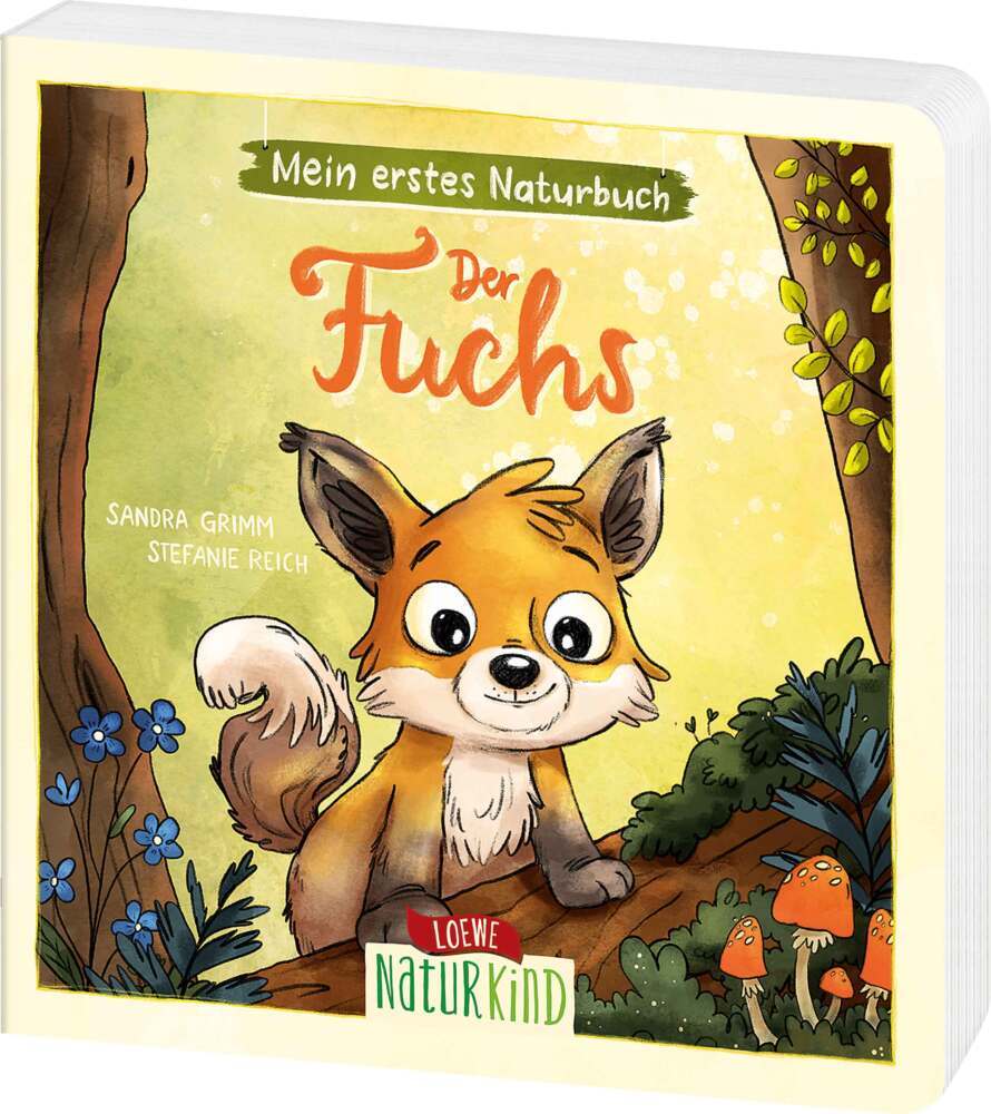 Mein erstes Naturbuch - Der Fuchs main product photo