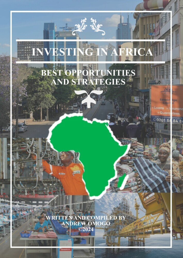 Investing in Africa main product photo