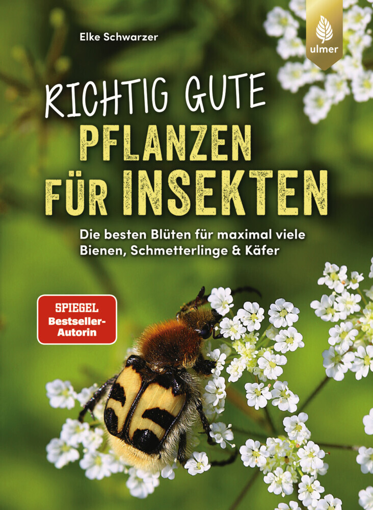 Richtig gute Pflanzen für Insekten main product photo
