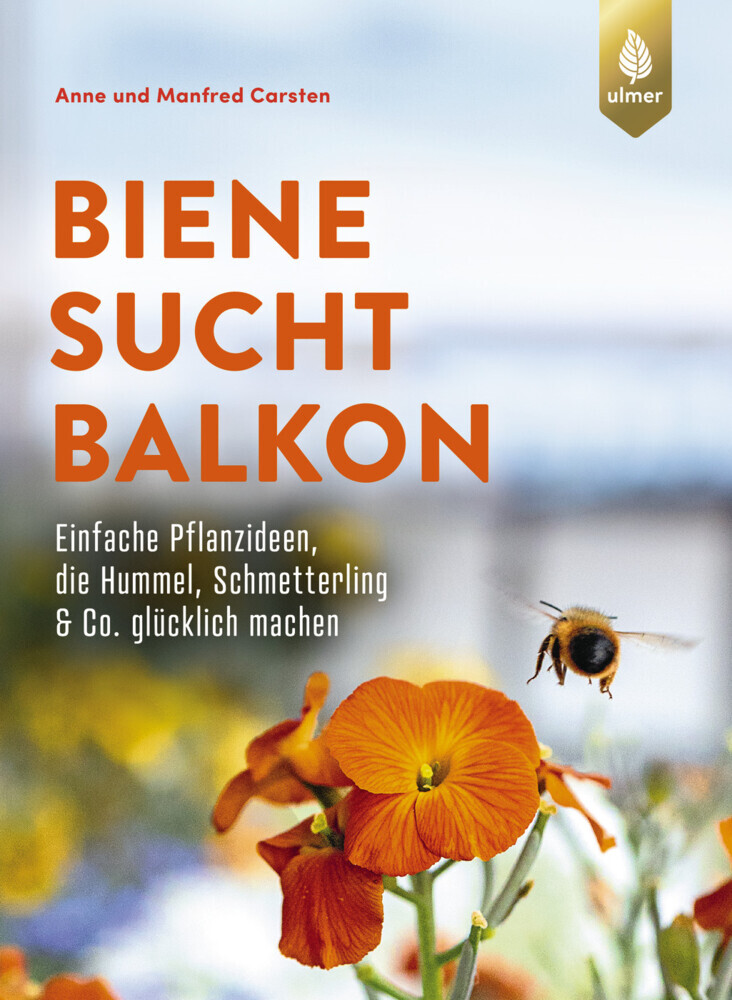 Biene sucht Balkon main product photo