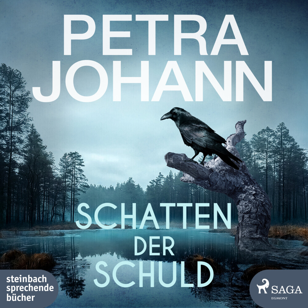 Schatten der Schuld, 2 Audio-CD, 2 MP3 main product photo