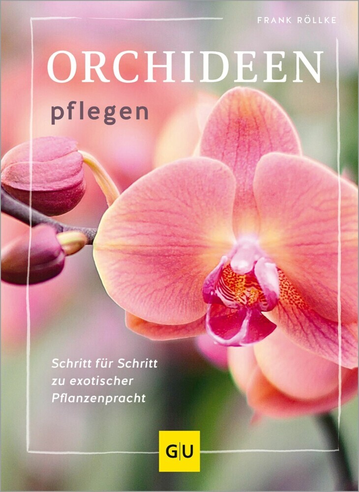 Orchideen pflegen main product photo
